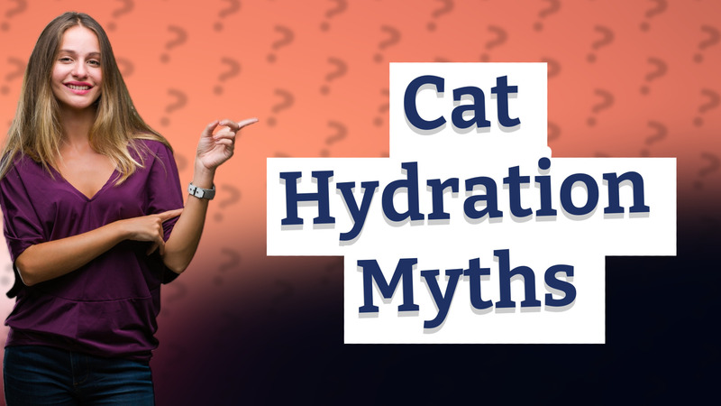 Cat Hydration Myths
