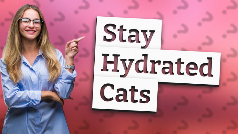 Stay Hydrated Cats
