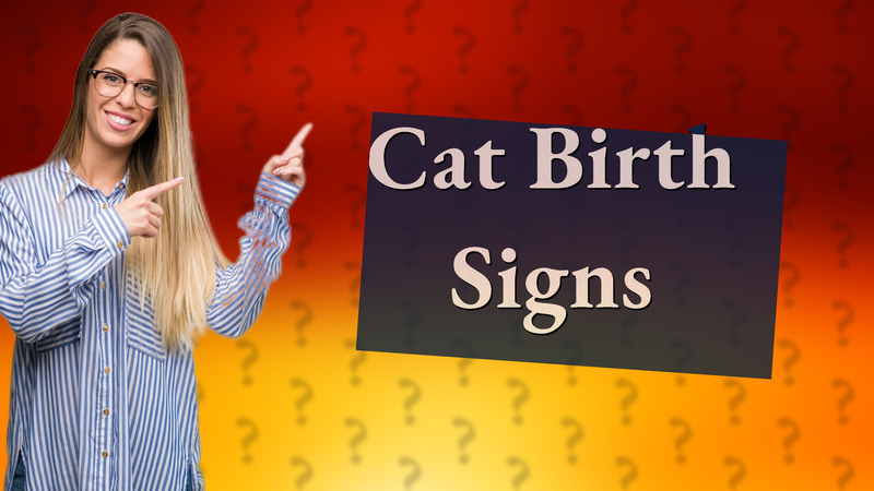 Cat Birth Signs