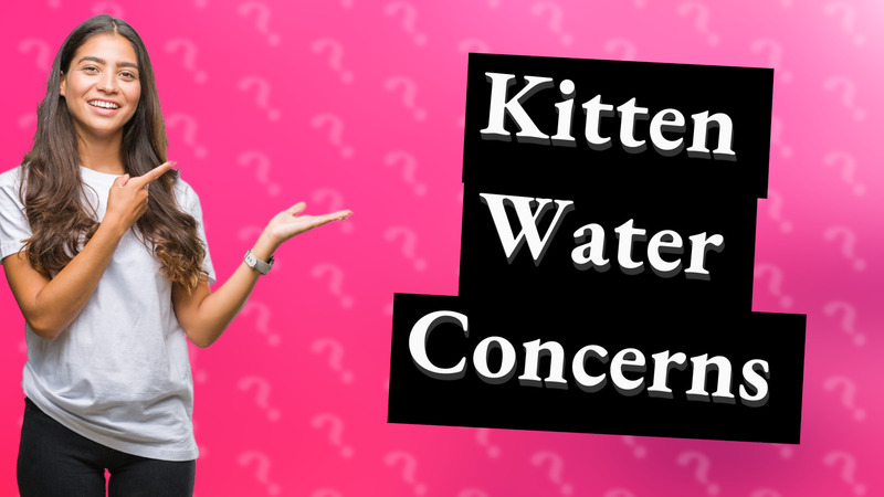 Kitten Water Concerns