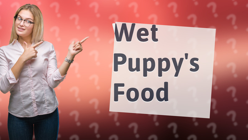 Wet Puppy's Food