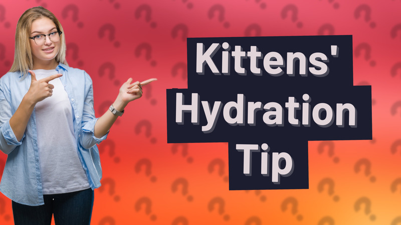 Kittens' Hydration Tip