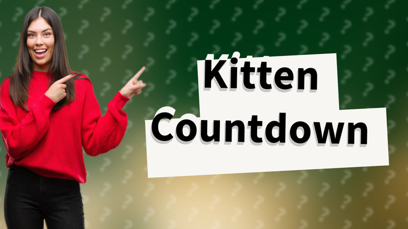 Kitten Countdown
