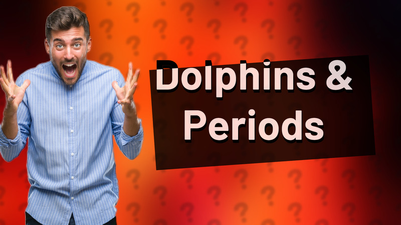 Dolphins & Periods
