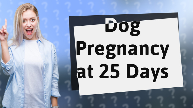 Dog Pregnancy at 25 Days