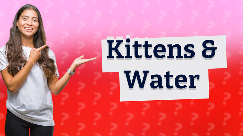 Kittens & Water