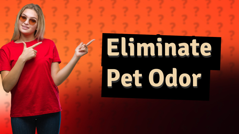 Eliminate Pet Odor