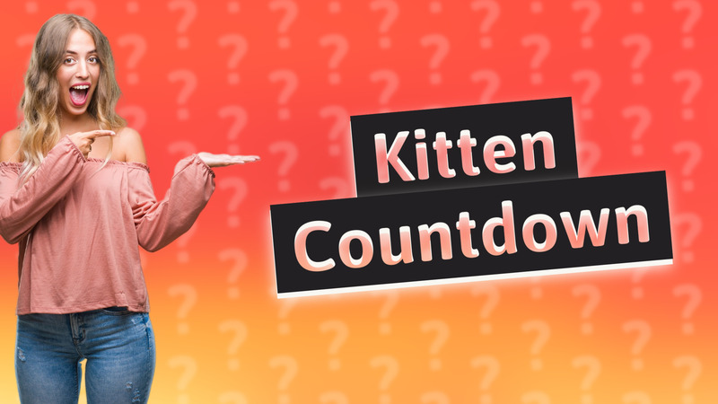 Kitten Countdown