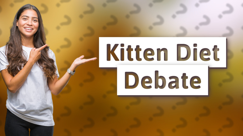 Kitten Diet Debate