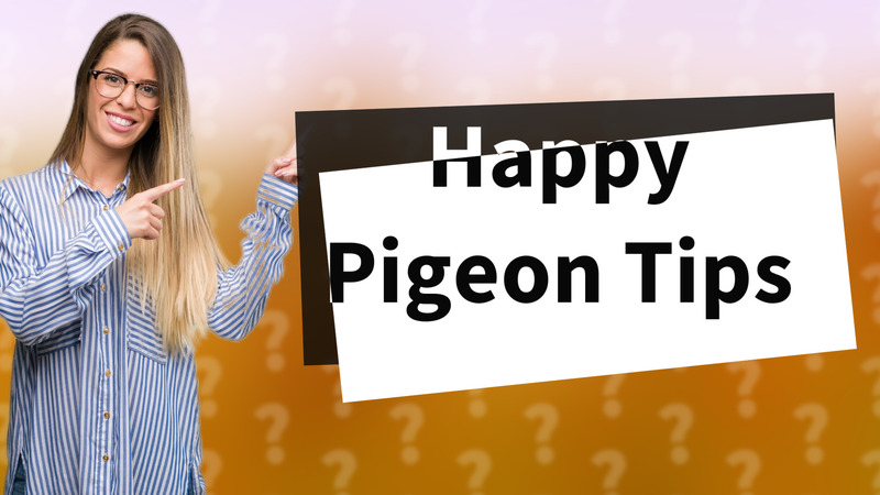 Happy Pigeon Tips