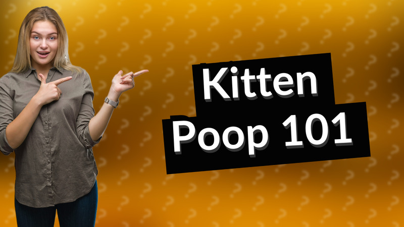 Kitten Poop 101