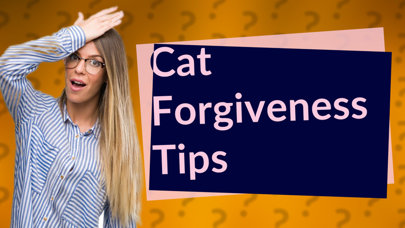 Cat Forgiveness Tips
