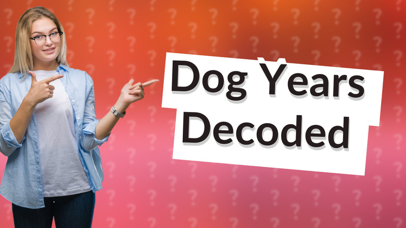 Dog Years Decoded