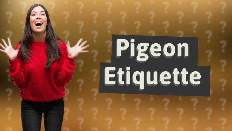 Pigeon Etiquette