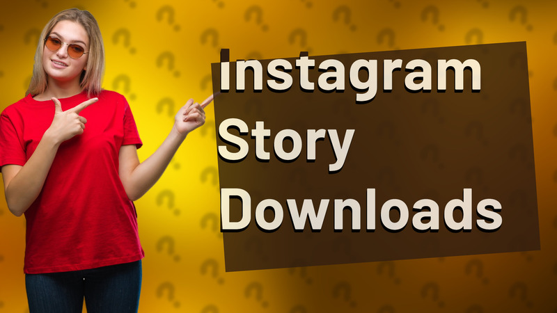 Instagram Story Downloads