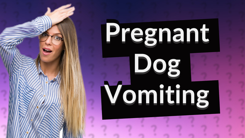 Pregnant Dog Vomiting