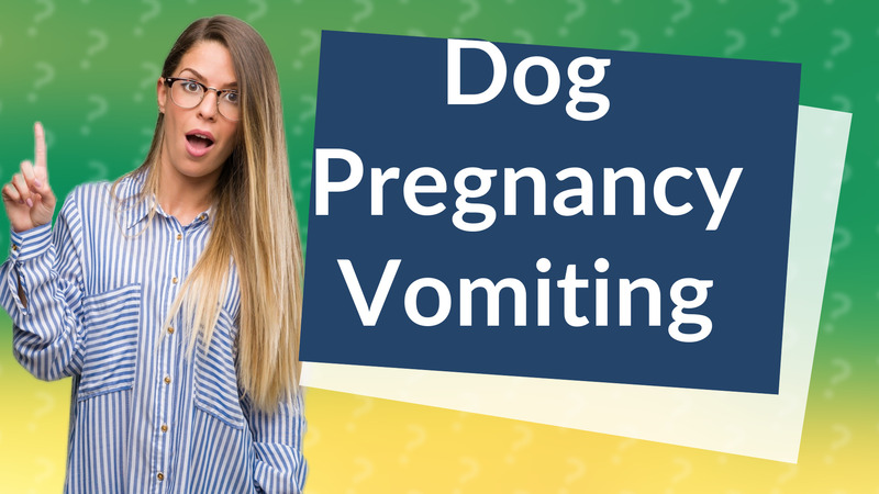 Dog Pregnancy Vomiting