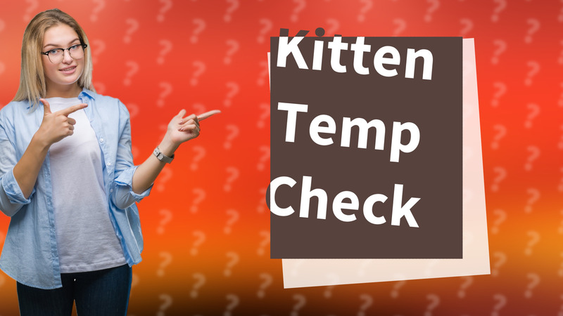 Kitten Temp Check