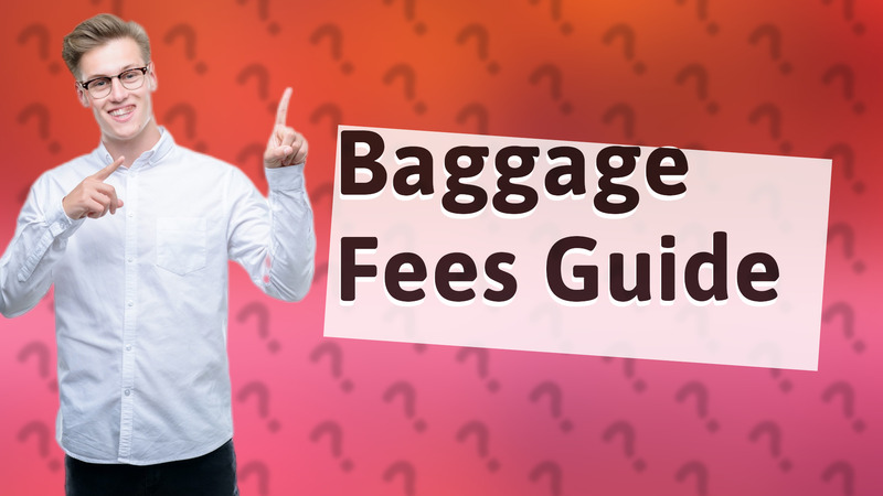 Baggage Fees Guide