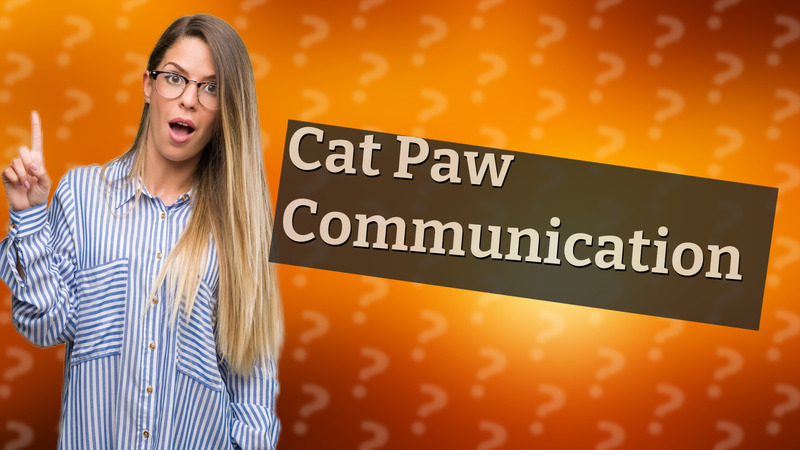 Cat Paw Communication