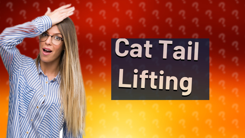 Cat Tail Lifting