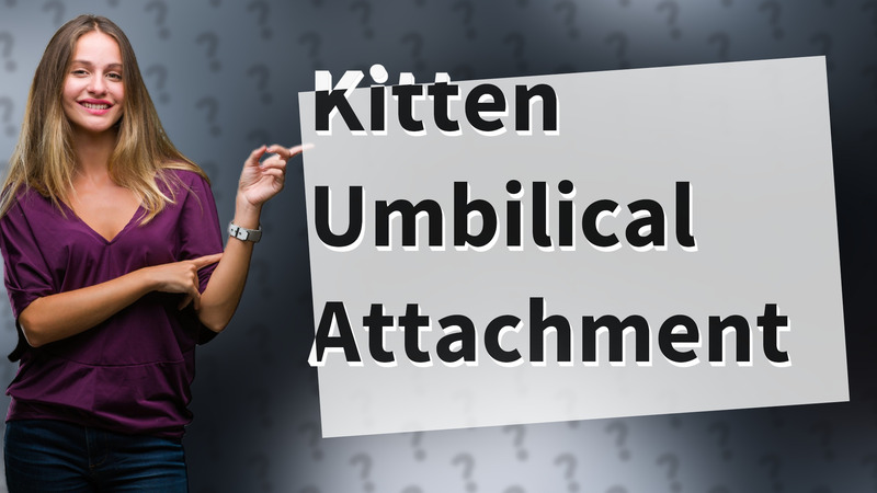 Kitten Umbilical Attachment