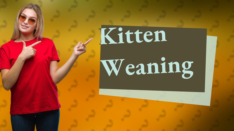 Kitten Weaning