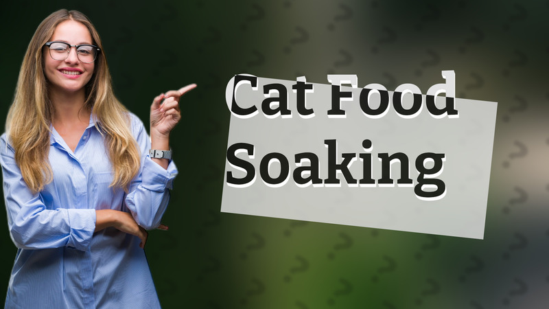 Cat Food Soaking
