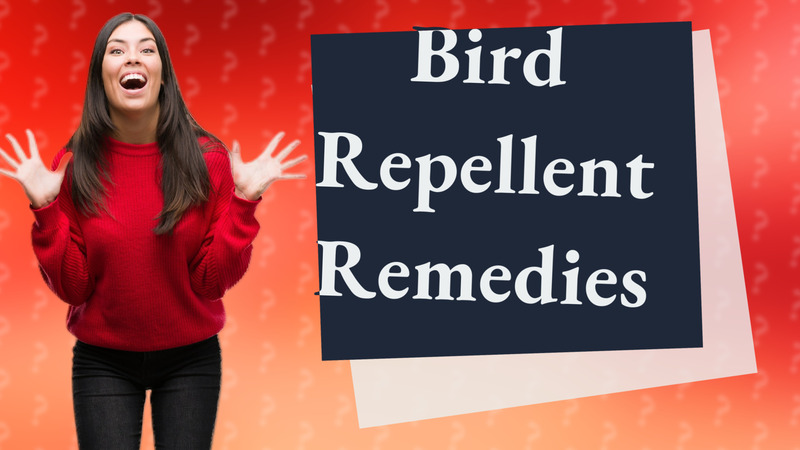 Bird Repellent Remedies