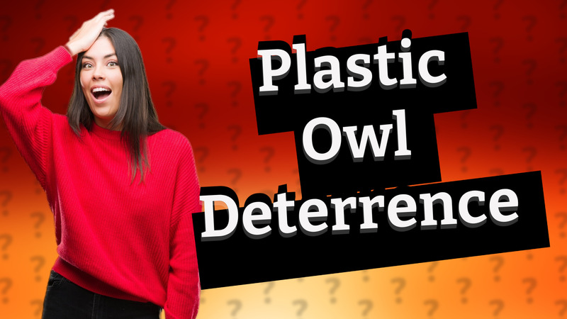 Plastic Owl Deterrence
