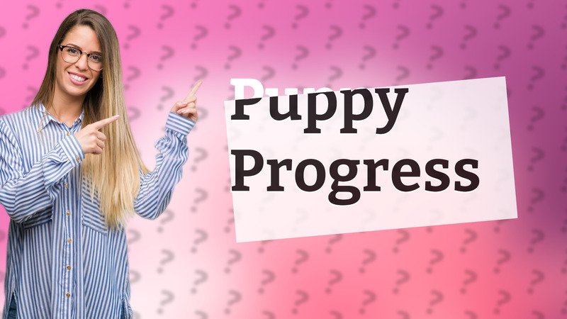 Puppy Progress