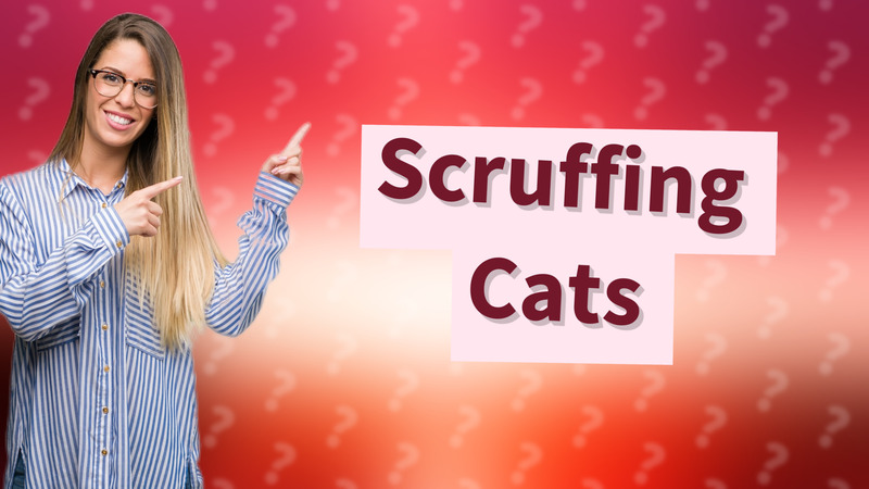 Scruffing Cats