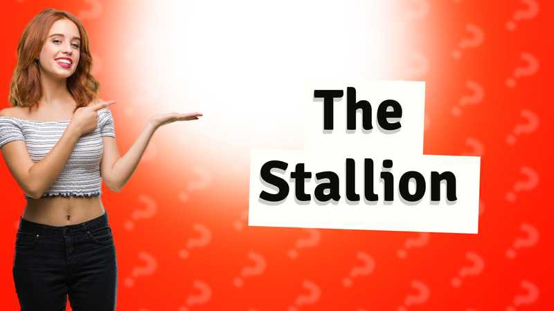 The Stallion