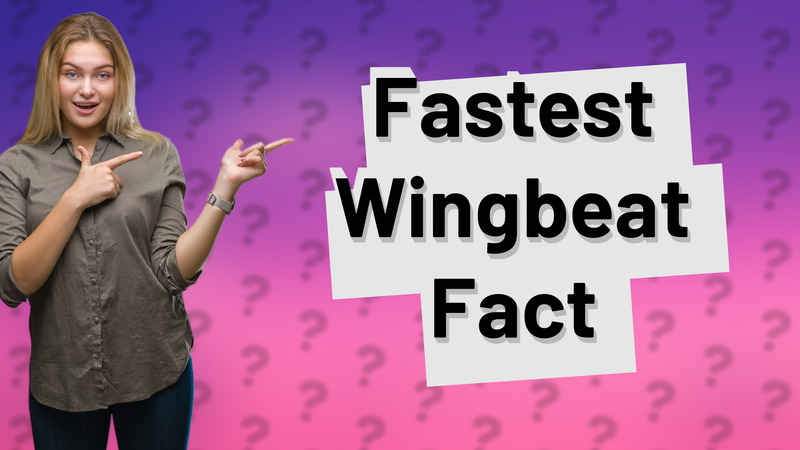 Fastest Wingbeat Fact