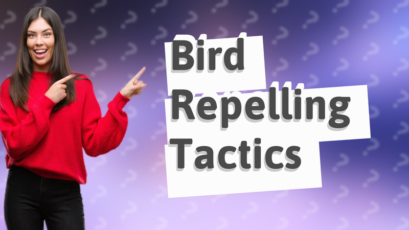 Bird Repelling Tactics