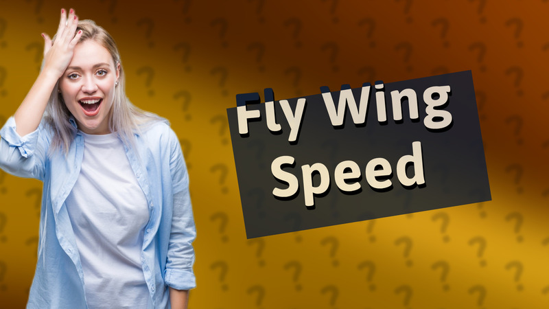 Fly Wing Speed