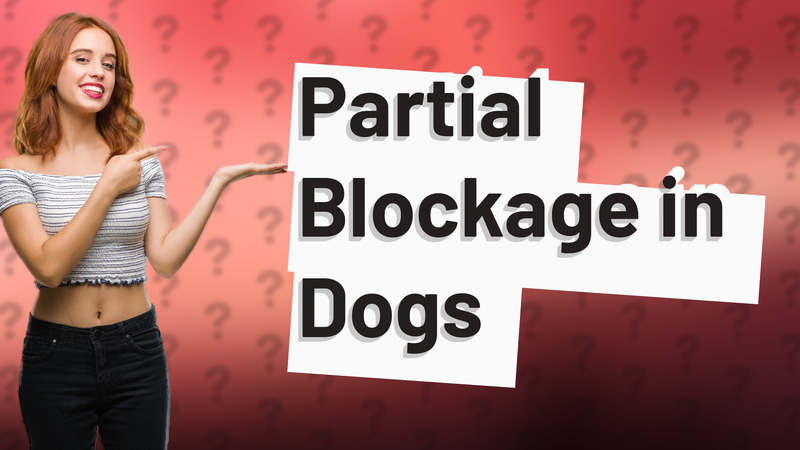 Partial Blockage in Dogs