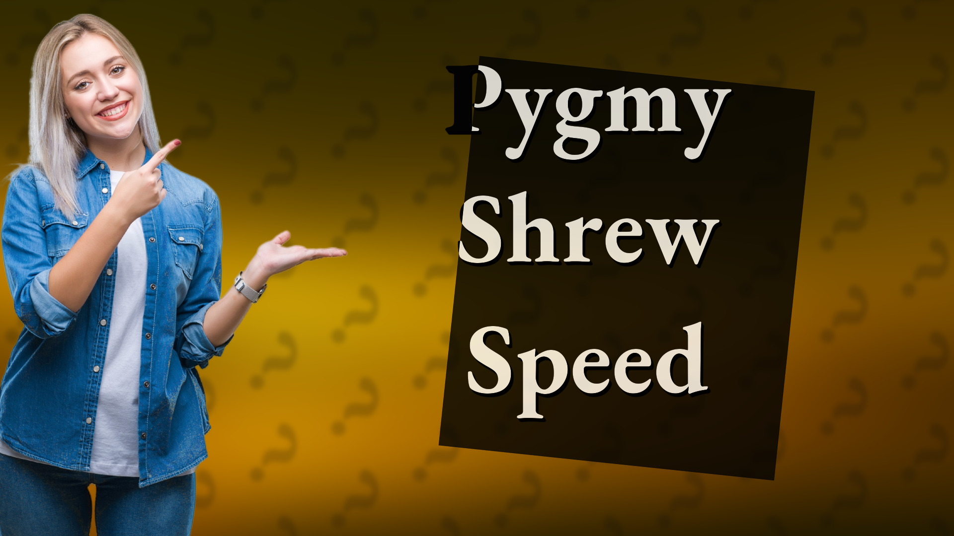 Pygmy Shrew Speed