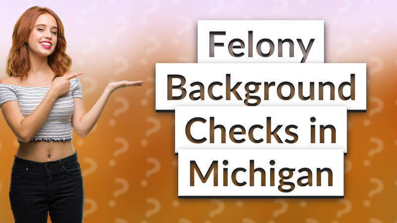 Felony Background Checks in Michigan