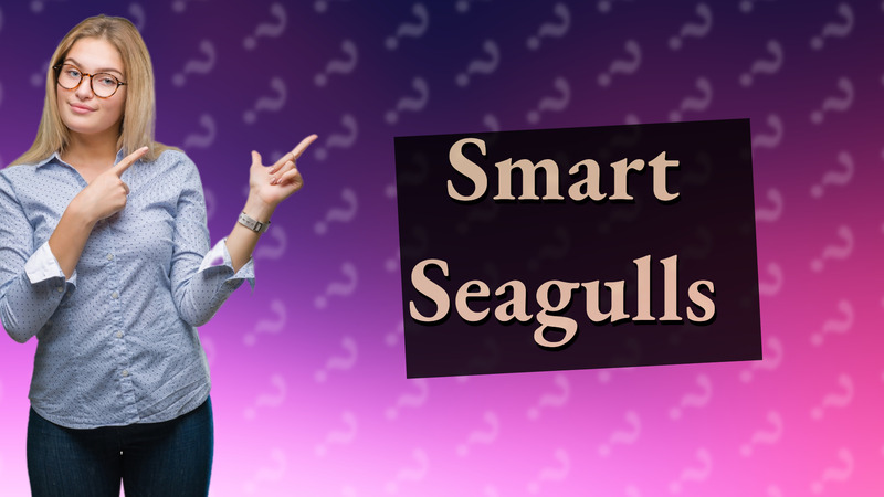 Smart Seagulls