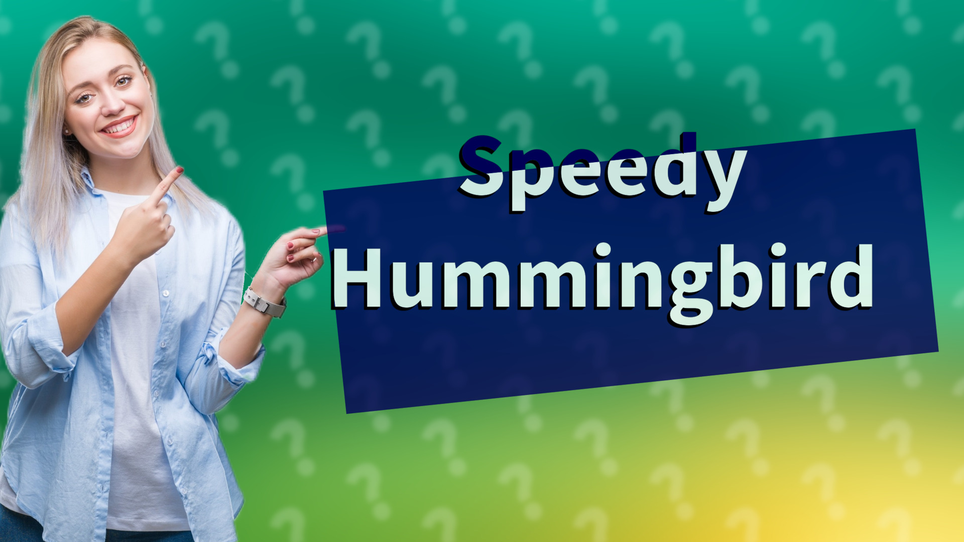 Speedy Hummingbird
