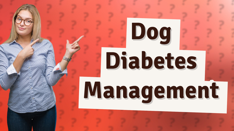 Dog Diabetes Management