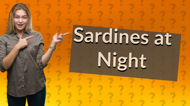 Sardines at Night