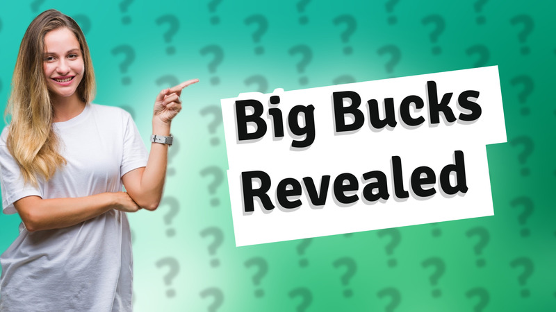 Big Bucks Revealed