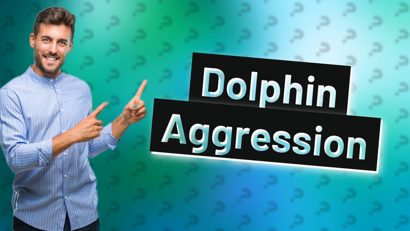 Dolphin Aggression