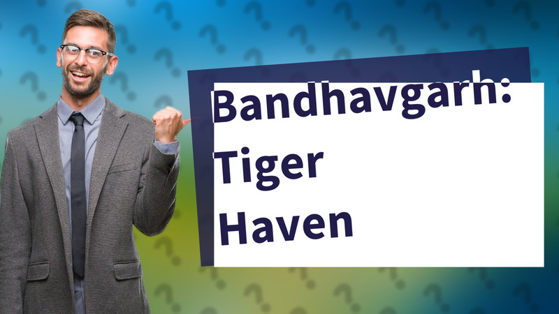Bandhavgarh: Tiger Haven