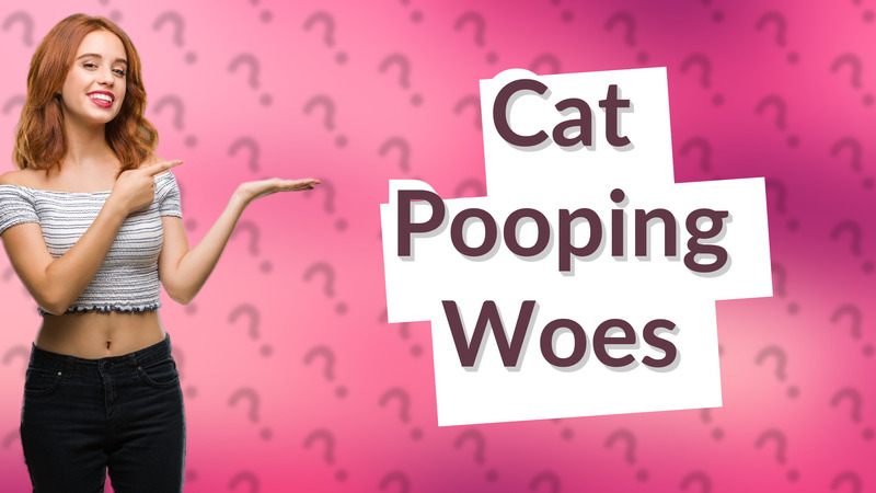 Cat Pooping Woes