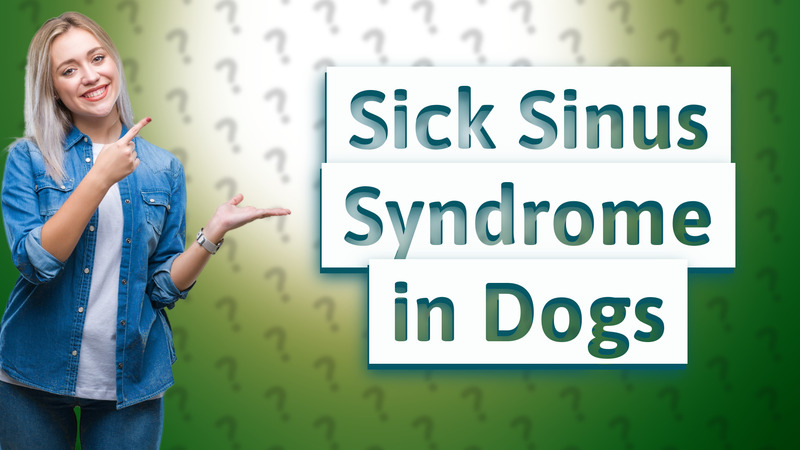 Sick Sinus Syndrome in Dogs