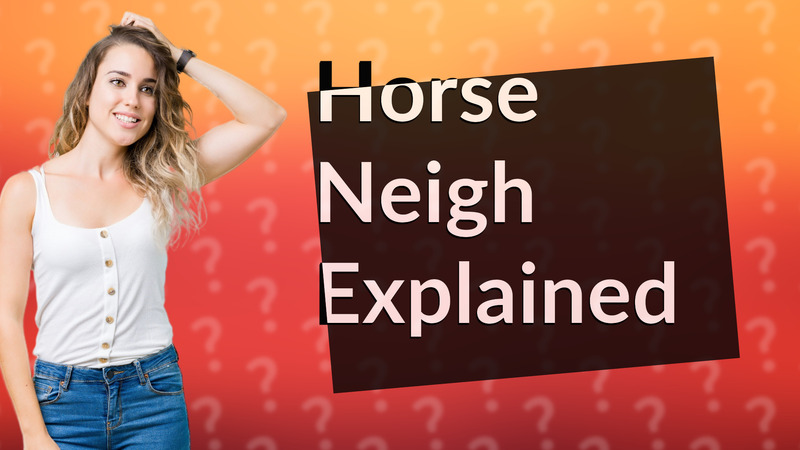 Horse Neigh Explained