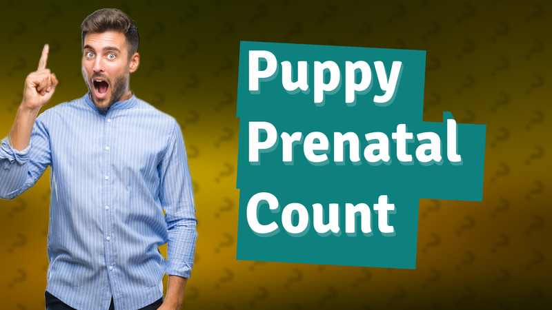 Puppy Prenatal Count